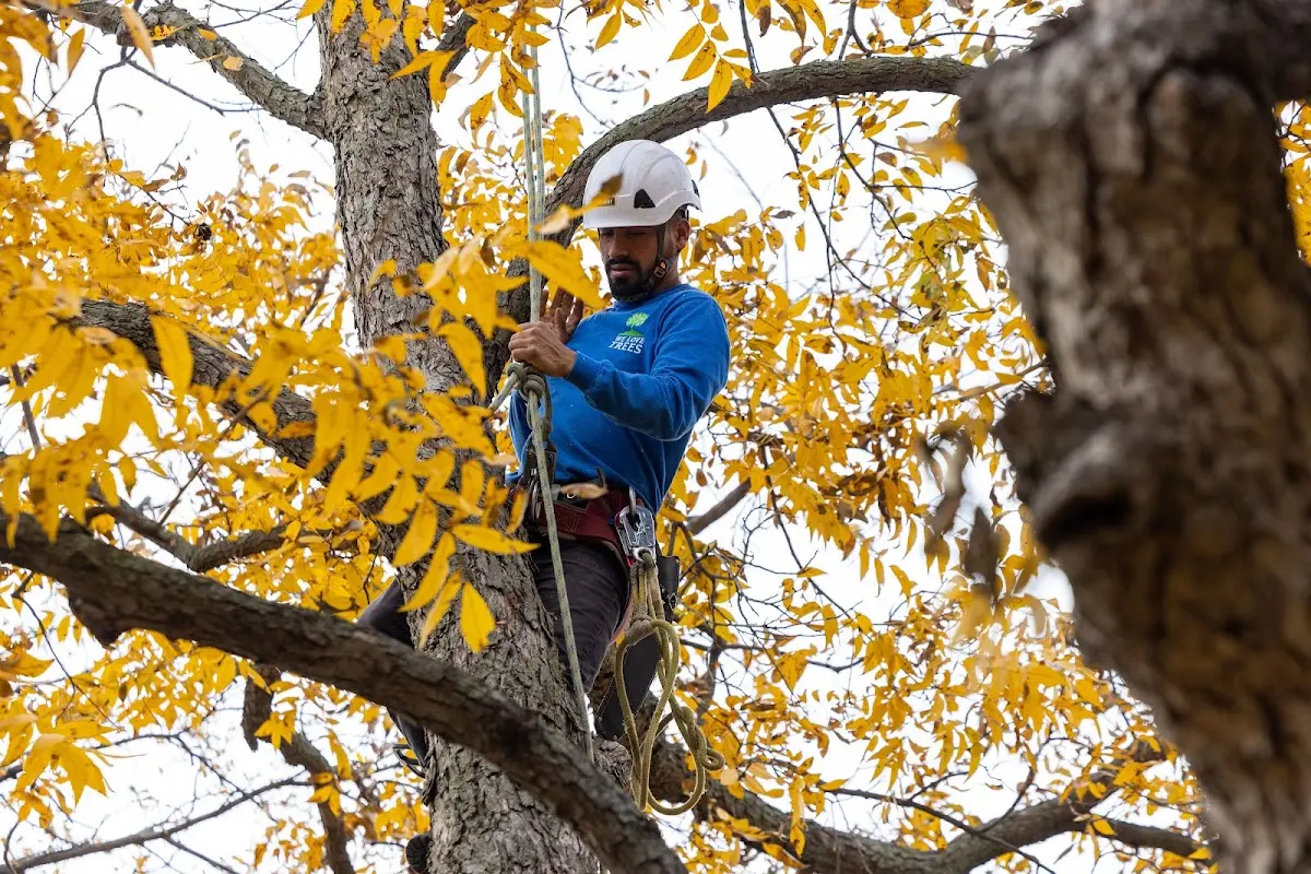 Skilled Storm Damage Cleanup crew working in Agency